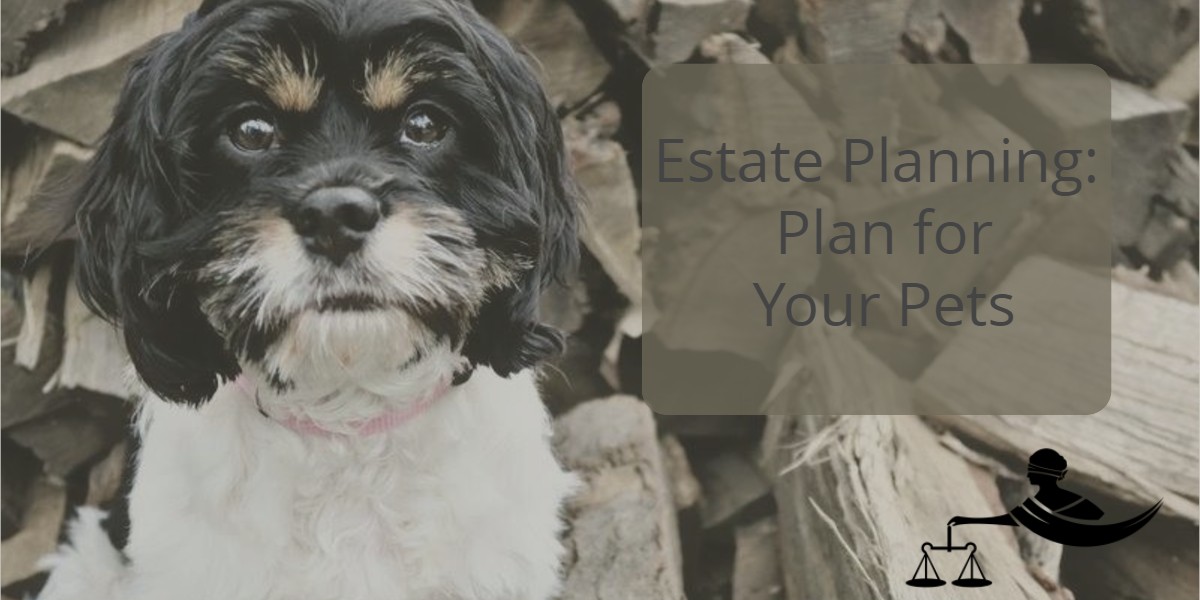Estate Planning: Plan for Your Pets