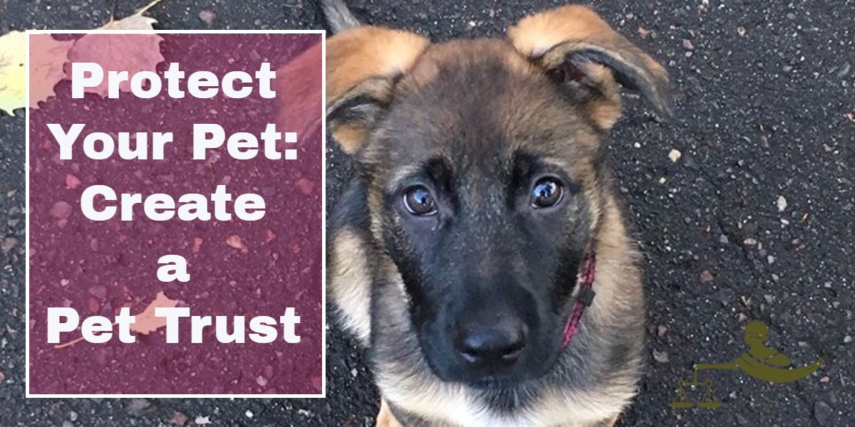 Protect Your Pet: Create A Pet Trust